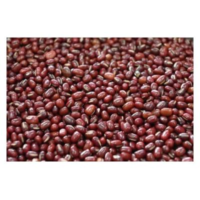 ふるさと納税 山口市 銭の菓子(もなか) E114 |  | 02