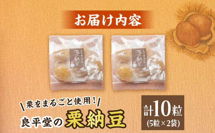 栗納豆 5粒入 2箱 / くり 和菓子 まるごと ギフト / 恵那市 / 良平堂 [AUDB033]