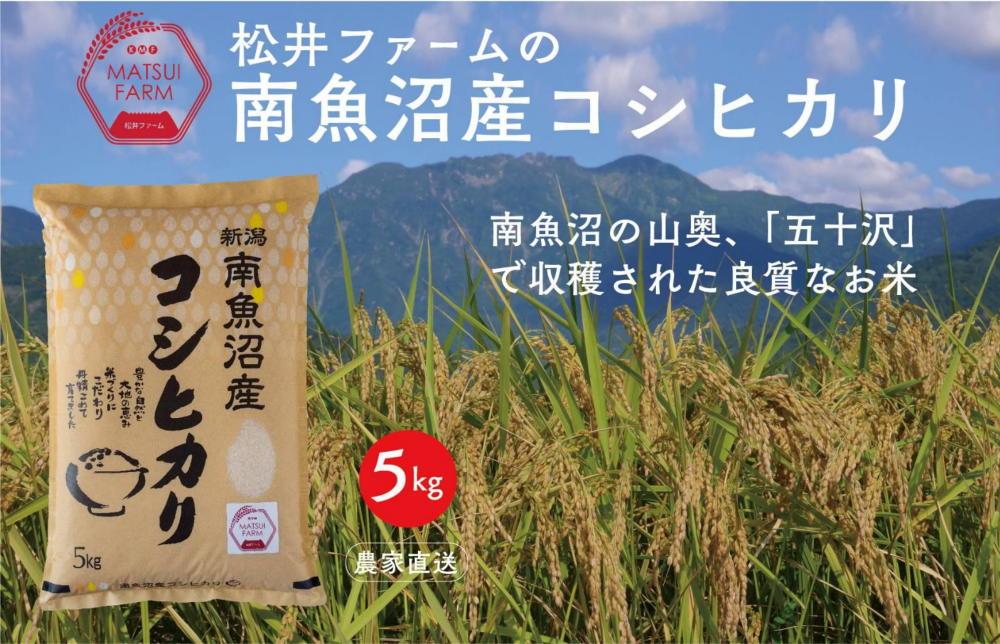 【令和7年産新米予約】南魚沼産コシヒカリ（5kg)