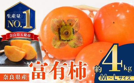  濃厚な甘み！ 富有柿 約 4kg （MまたはLサイズ） |  富有柿 柿 かき フルーツ 果物 くだもの カキ  農家直送 家庭用 贈答 秋の味覚 旬 M L 奈良県 五條市 まろやか 食べやすい 種なし やさしい 甘さ 大容量 こだわり 産地直送 11月 秋 旬 自宅用 グルメ お取り寄せ 送料無料 高評価 わけあり 訳アリ 株式会社柳澤果樹園 | 奈良県 五條市