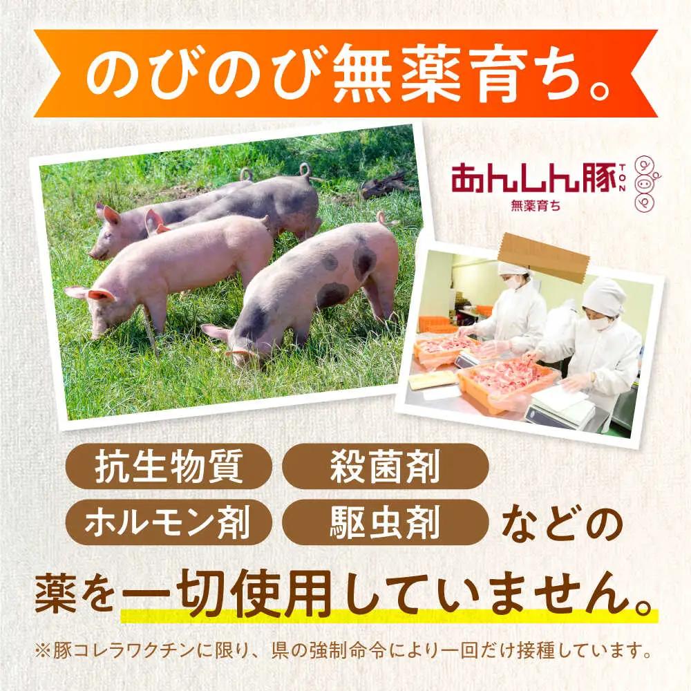 豚肉 肩ロース 焼肉用 計880g 藤井ファーム[AWAF062]豚肉 焼肉