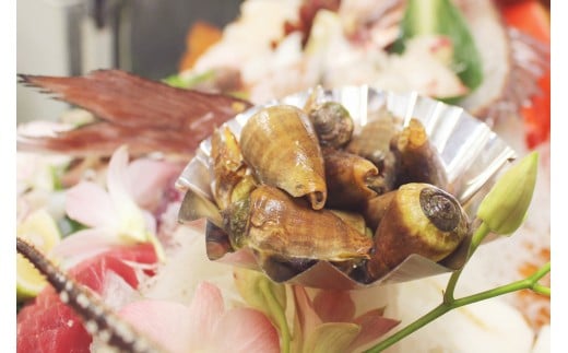 
                  選べる チャンバラ貝 貝 珍味 マガキ貝 天然 素潜り漁 郷土料理 皿鉢 コリコリ食感 甘み 生食 茹でる 冷凍保存 希少 レア 高知県 宿毛市 ふるさと納税 返礼品 グルメ 海鮮 魚介類 貝類 新鮮 美味 旬  特産品 名物 地元 お取り寄せ 
                