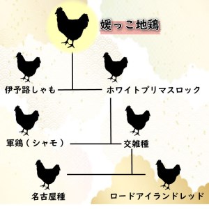 定期便 3回 数量限定 最高級 ブランド 地鶏 媛っこ地鶏 セット3種 ソーセージ ハーブ 鶏肉 鶏むね 鶏もも こだわり 小分け