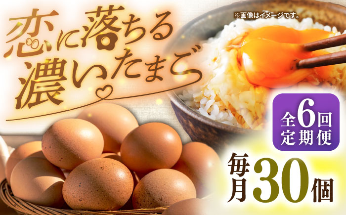 【全6回定期便】特選 素直な恋たまご 30個 《壱岐市》【しまのたまご屋さん】  卵 たまご 鶏卵 玉子 ギフト 国産 卵かけご飯 たまごかけご飯 のし 定期便 [JAP020] 60000 60000円 6万円