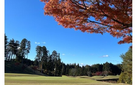 むらさき野カントリークラブ （ゴルフプレー割引券）30枚