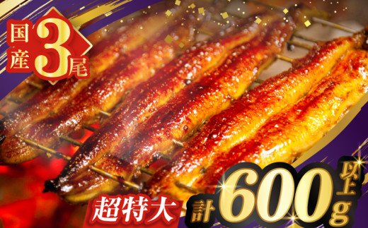 うなぎ蒲焼特大3尾(さんしょう・たれ付き)計600g以上 鰻 魚 魚介 加工品 国産_T026-002