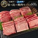 【ふるさと納税】＜3D冷凍＞宮崎牛 食べ比べ 焼肉 セット(100g×6種類) 4等級 A4ランク 牛肉 ブランド