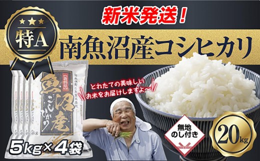 
                  【令和8年産　新米予約】「無地のし」 新潟県 南魚沼産 コシヒカリ お米 5kg×4袋 計 20kg 精米済み（お米の美味しい炊き方ガイド付き） お米 こめ 白米 こしひかり 食品 人気 おすすめ  魚沼 南魚沼 南魚沼市 新潟県産 新潟県 精米 産直 産地直送【2026年10月中旬より1ヶ月以内に順次発送予定】
                