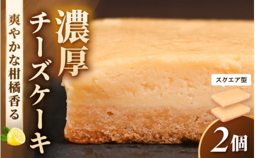 濃厚スイーツ チーズケーキ スクエア（8cm×12cm×2個セット）【2025年9月発送】【デザート 菓子 お菓子 洋菓子 スイーツ おやつ クッキー生地 冷凍】 [e44-a014_09]