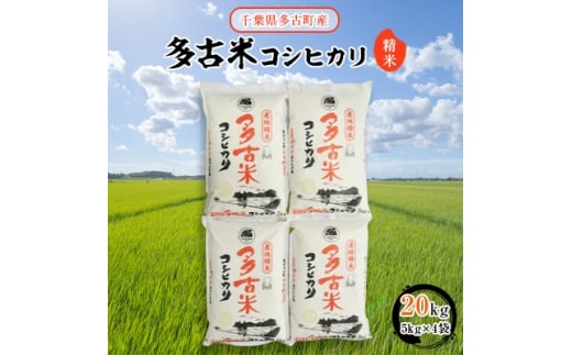 ＜令和6年産＞多古米コシヒカリ　精米20kg(5kg×4袋)【1030394】