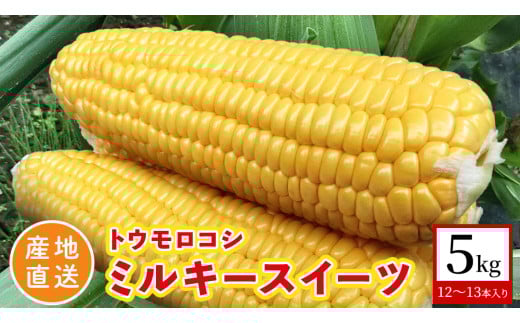 【 産地直送 】 トウモロコシ 「 ミルキースイーツ 」 5kg 新鮮 皮付き とうもろこし コーン 野菜 [CZ010ci]