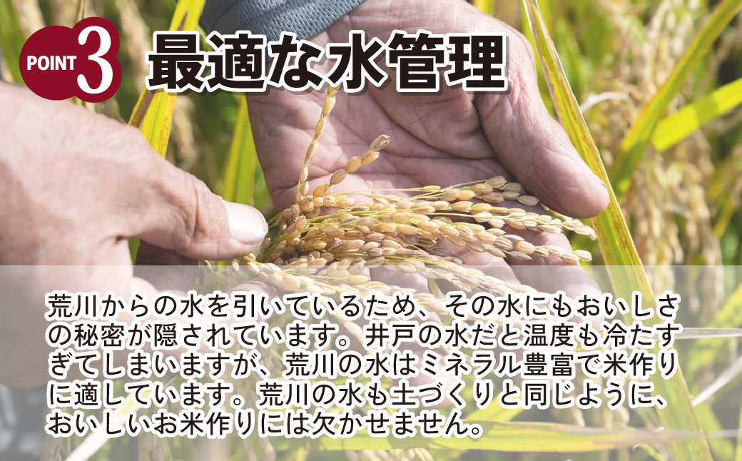 【令和6年産米】埼玉県産 彩のかがやき 10kg (5kg×2袋)