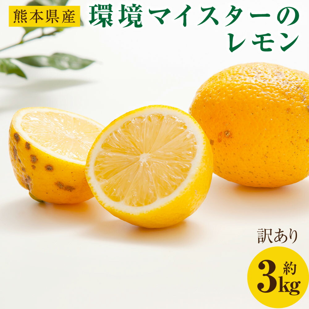 【ふるさと納税】環境マイスターのレモン 訳あり 約3kg 24個前後 （栽培期間中は無肥料・農薬不使用） レモン 檸檬 れもん 果物 国産 九州産 熊本県産 冷蔵 送料無料【2025年12月上旬‐2026年4月下旬迄順次発送予定】