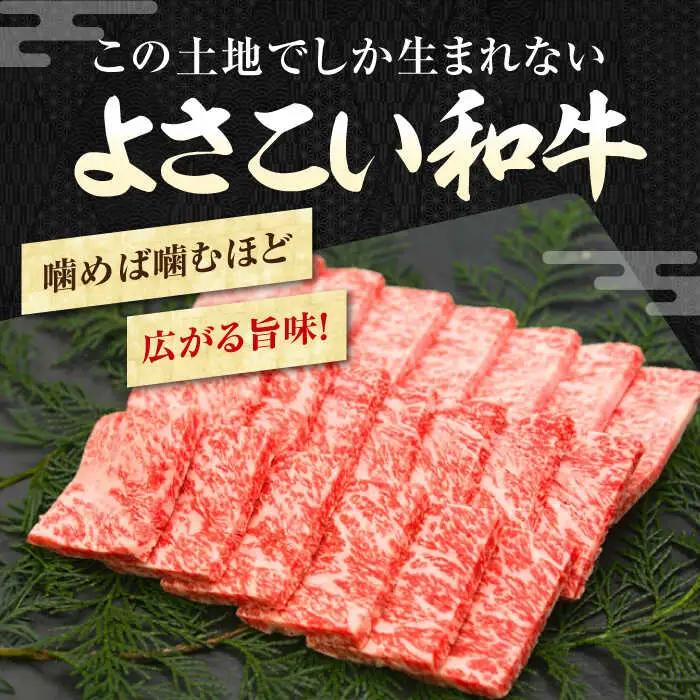 簡単調理! お肉の詰め合わせ 総計約4.7kg 牛肉 鶏肉 豚肉 国産 小分け 食べ比べ 【(有)山重食肉】 [ATAP009]