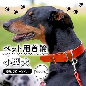 【本革首輪】　小型犬用　マイスタープラス　レザーカラー　＃１５　オレンジ【 ペット 大阪府 松原市 】