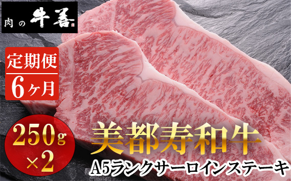 
                  【毎月定期便6回】美都寿和牛 サーロインステーキ 2枚 ／ 牛肉 ブランド牛 自社ブランド 千葉県 特産 No.293
                