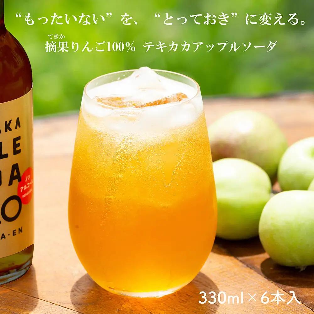 ソーダ テキカカアップルソーダ 330ml×6本
