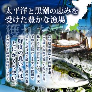 天然ブリ１本（５kg～）下処理なし まるごと直送便【令和6年3月以降発送※着日指定不可※】先行予約 鮮魚 刺身 ぶりしゃぶ ぶり大根 塩焼き【R00872】