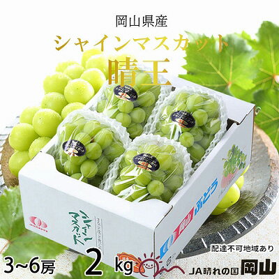 【ふるさと納税】ぶどう 2026年 先行予約 シャイン マスカット 晴王 3房～6房 約2kg ブドウ 葡萄 岡山県産 国産 フルーツ 果物 ギフト 果物類 　お届け：2026年8月下旬～2026年11月下旬