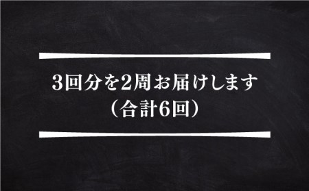 【全6回定期便】 壱岐牛ボリュームセット 約8kg 《壱岐市》【土肥増商店】[JDD031] 366000 366000円 ステーキ 焼肉 鍋 すき焼き しゃぶしゃぶ ステーキ用 焼肉用 鍋用 すき焼