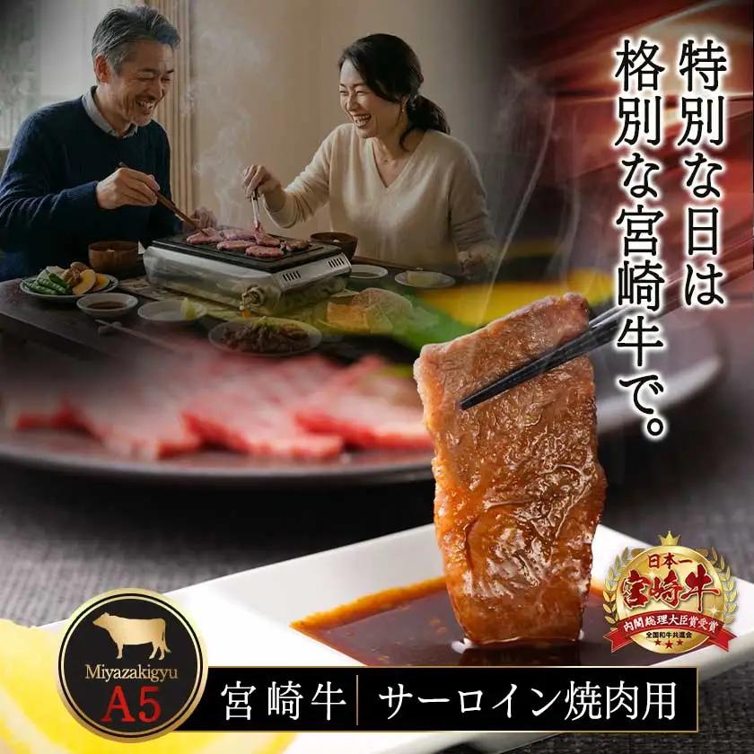 【A5】宮崎牛サーロイン焼肉用500g〔AE-0106〕_(都城市) 最高級A5ランク 宮崎牛サーロイン焼肉用 500g 最高等級5等級 ブランド牛 国産牛肉 国産黒毛和牛 バーベキュー 焼き肉 ガッ