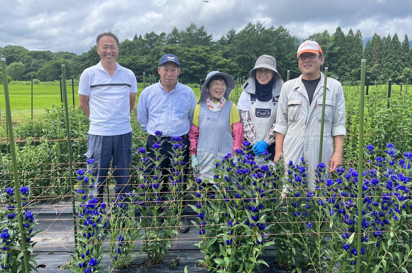 農家と地域の振興機関により、西和賀ならではのオリジナル品種が開発されてきました。