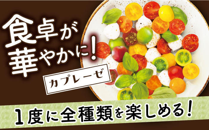 おまかせMIX カラフル ミニトマト 約1.2kg