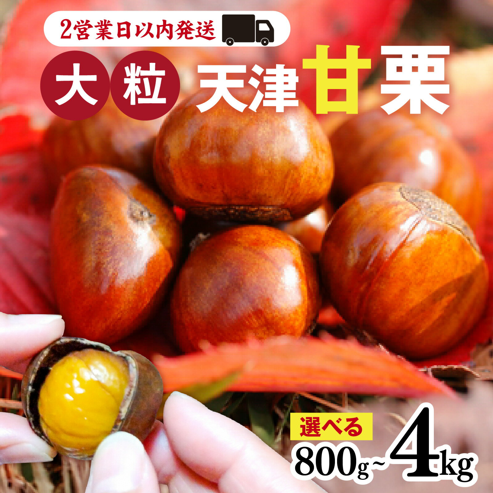 【ふるさと納税】天津甘栗 選べる容量 800g 1.1kg 2kg 2.5kg 4kg / 栗 兵庫 兵庫県 おやつ 特選大粒栗 大粒 おやつ お菓子 スイーツ 栗好き 焼き栗 焼き 栗 マロン 国産 こだわり製法 新栗 スピード発送 最短2営業日発送