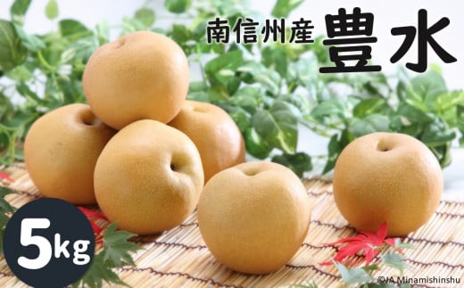 JA06-25A 梨 豊水 約5kg ／9月上旬～9月下旬ごろ配送 //和梨 南信州 長野県 糖度センサー選別  新鮮 厳選 贈答