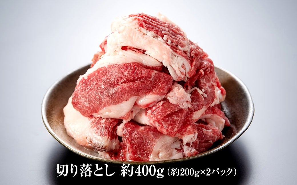 博多和牛の食べ比べセット 約600g（切り落とし約200g×2パック＋肩ロースステーキ約200g） 和牛 切り落とし 肩ロースステーキ