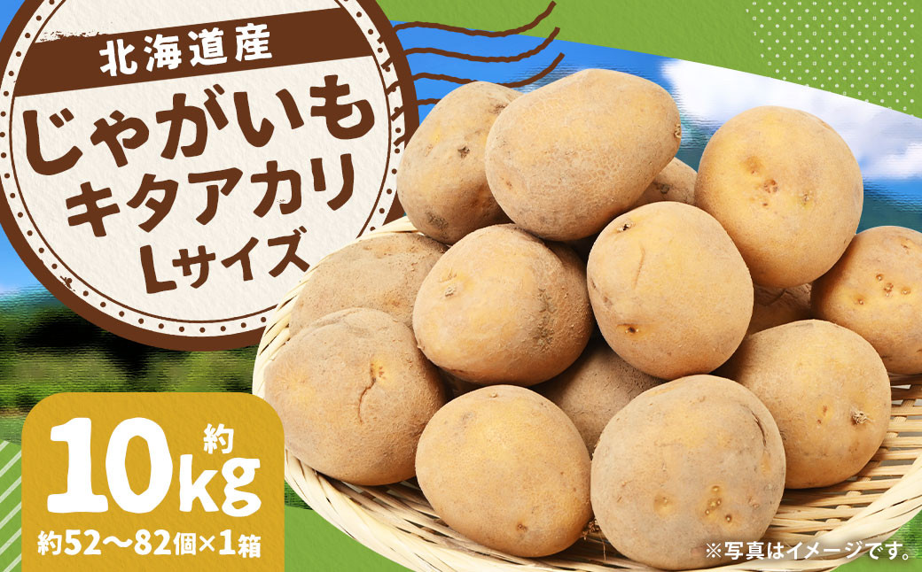 
                  じゃがいも キタアカリ Lサイズ 約10kg 1箱 （JA） ジャガイモ 芋 いも イモ 国産 【2026年9月下旬～12月下旬迄発送予定】
                