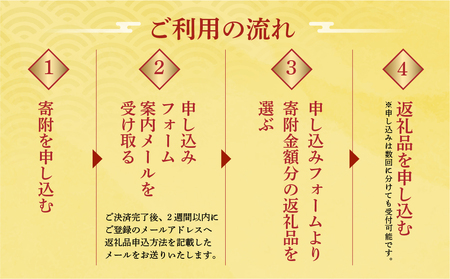 白川郷 あとから選べる 飛騨牛＆結旨豚 オンラインカタログ 50万円 [S675]