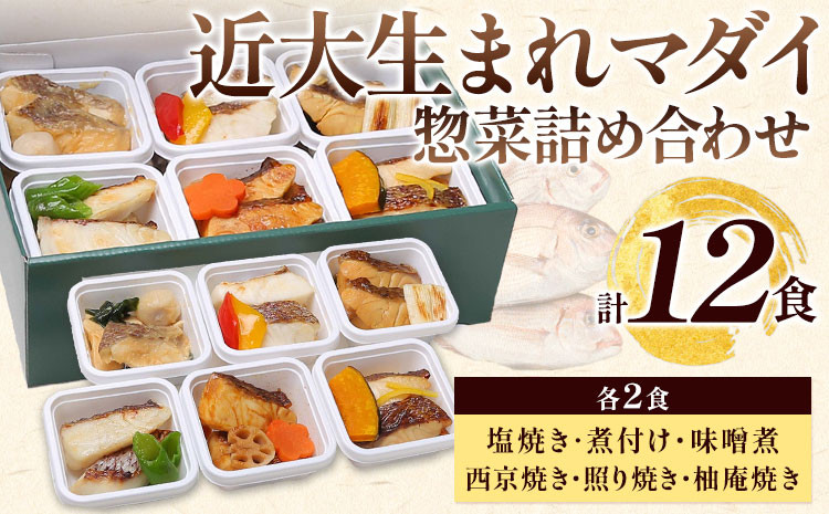 
レンジで簡単！ 近大生まれマダイ惣菜詰め合わせ 12食 アーマリン近大 《90日以内に出荷予定(土日祝除く)》和歌山県 日高町 鯛 真鯛 惣菜 レトルト 西京焼き 塩焼き 照り焼き 照焼 柚庵焼き 煮付け 味噌煮 焼き魚 おかず お弁当
