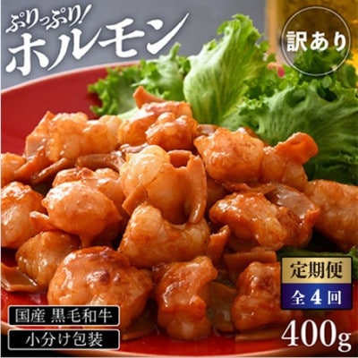【3ヵ月毎定期便】【訳あり】黒毛和牛 ぷりっぷりのホルモン 特製タレ味付き400g全4回【配送不可地域：離島】【4084983】