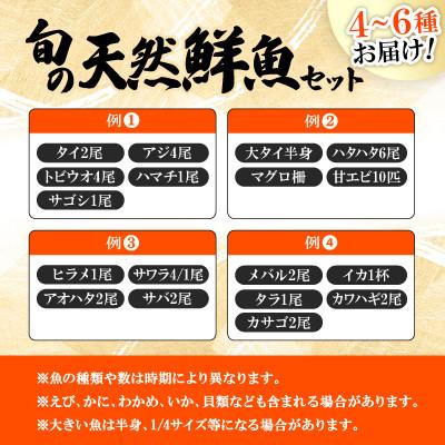 ふるさと納税 小浜市 【加福鮮魚】「若狭小浜港産地直送」のお任せ天然鮮魚セット! |  | 02