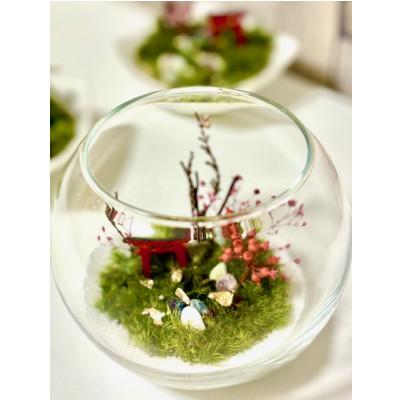ふるさと納税 田原本町 和苔テラリウム