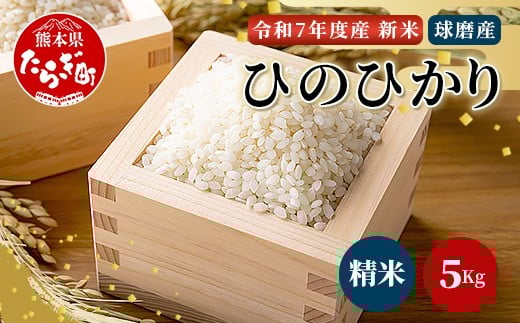 【令和7年度産 新米】球磨産 ひのひかり 精米 5kg お米 ヒノヒカリ 新米 お米 白米 036-0180