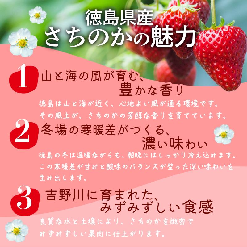 いちご 500g さちのか 苺 イチゴ ストロベリー 数量限定 徳島県産 ichigo strawberry itigo 2月上旬より順次出荷 徳島県 