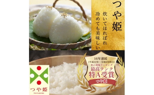 【1月発送】令和7年度 山形県産 つや姫 10kg 白米 無洗米 ご飯 ごはん 時短 節水 国産 ブランド米 つやひめ 食品 山形県 西川町 月山 FYN1-427