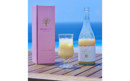 ハッピーフルーツ果樹園の宿毛小夏ジュース（化粧箱入り）1本セット