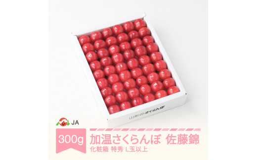 先行予約 加温ハウス さくらんぼ 佐藤錦 2026年産 令和8年産 300g 化粧箱 特秀L玉以上 早出し ja-snkxx300