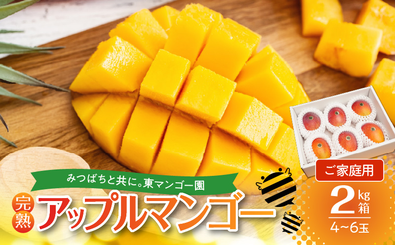 【2025年先行予約】≪ご家庭用≫東マンゴー園直送！完熟アップルマンゴー 2kg（4～6玉）　W014-010u