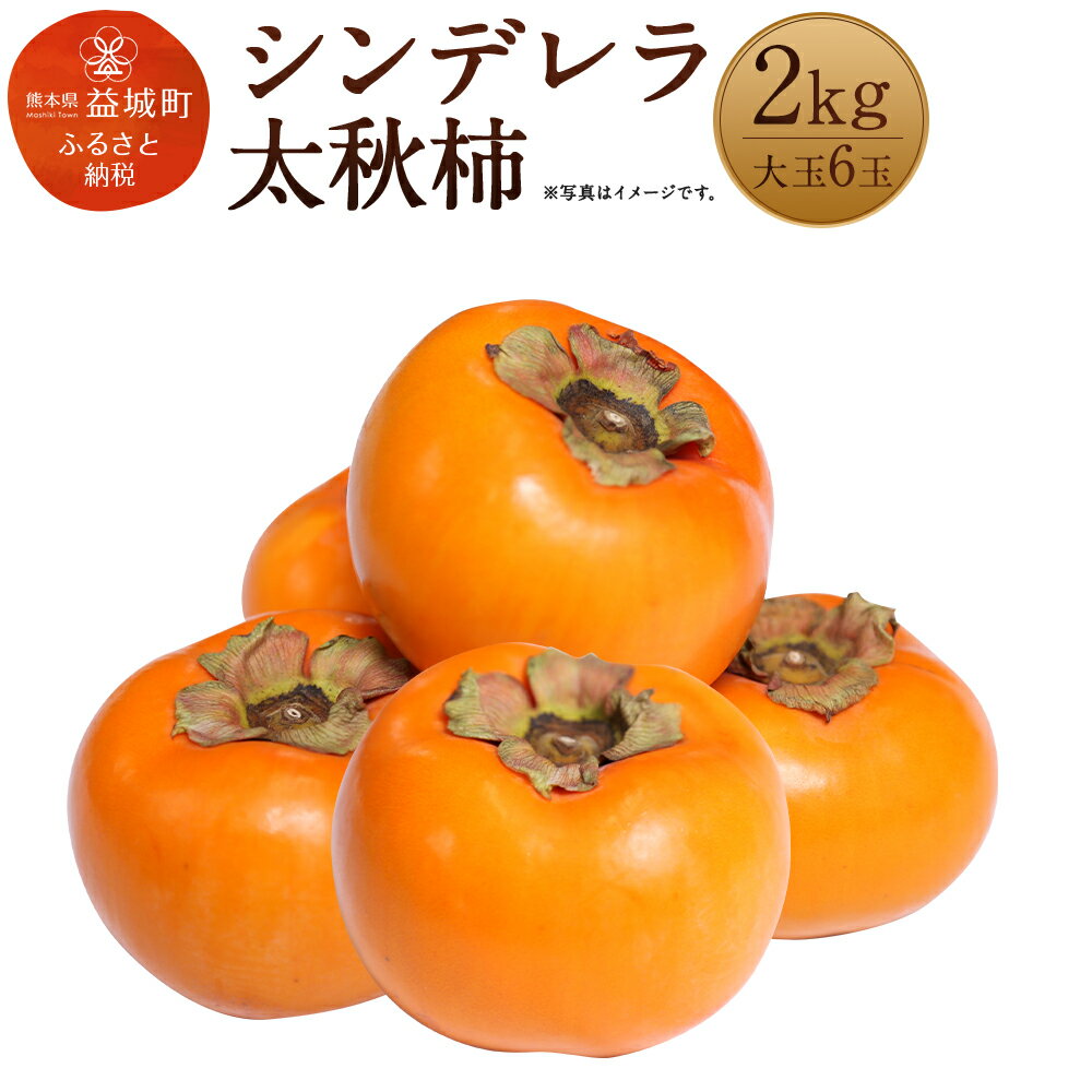 【ふるさと納税】シンデレラ太秋柿 2kg 大玉6玉 化粧箱入り 福馬果樹園 フルーツ 果物 国産 熊本県産 ギフト 贈り物 送料無料【2025年11月上旬～12月下旬発送予定】
