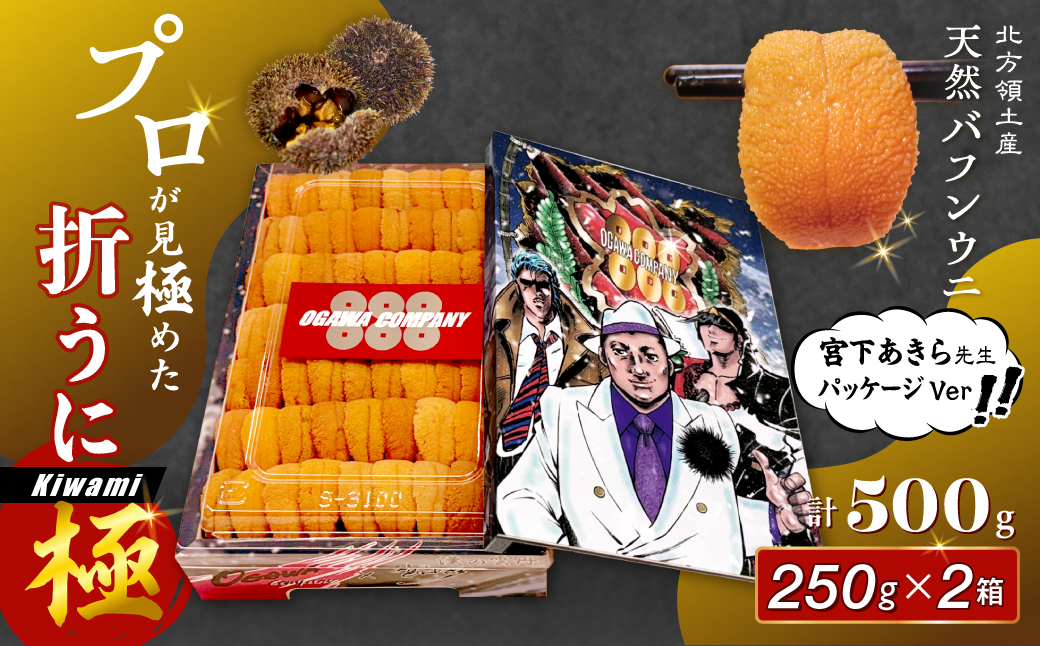 ≪プロ厳選≫最高級折うに(極)宮下あきら先生パッケージVer計500g うに ウニ 雲丹 折うに 海鮮 海産物 北海道 浜中町 ふるさと納税 人気_H0014-106