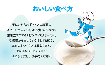 濃厚グラスフェッドミルクアイスクリーム『大地のアイス モウっと登別ミルクセット』120ml×6個 登別ミルク グラスフェッド ミルク アイスクリーム（lb10-01）