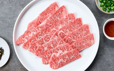 くまもと黒毛和牛 黒樺牛 A4～A5等級 カルビ 焼肉用 約500g（約250g×2P）【株式会社杉本本店】[AYBJ032]
