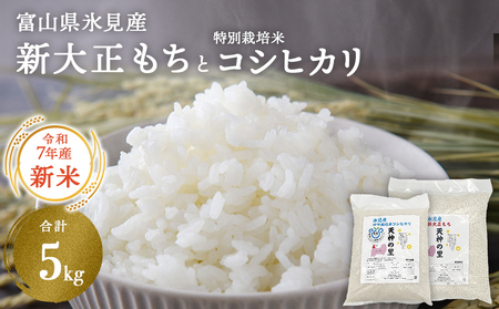 〈令和7年産〉富山県氷見産 新大正もち（3kg）と特別栽培米コシヒカリ"天神の里"（2kg）のセット ＜2025年11月以降順次発送＞ | お米 白米 精米 氷見 富山 米 国産 特別栽培 エコファーマー 数量限定 コシヒカリ こしひかり 人気 お取り寄せ 減農薬 減化学肥料 安心 安全 環境にやさしい 農家直送 天神の里 餅 米 もち米 おこわ 新大正糯 希少 品種