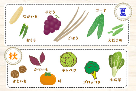 【6ヶ月定期便】 旬の新鮮野菜・果物詰合せセット(計6回お届け) たっぷり8-12品目 熊本県氷川町産 道の駅竜北《お申込み月の翌月から出荷開始》