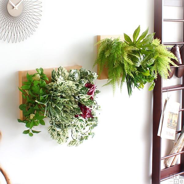 Botanical c.class 04　ブラウン