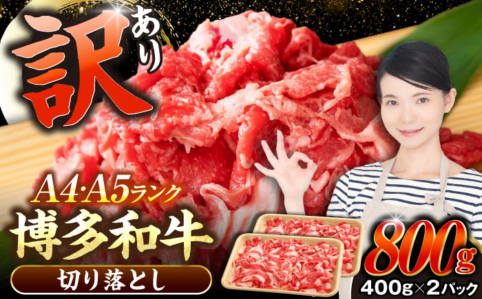 
                  【訳あり】【A4〜A5】博多和牛 切り落とし 800g（400g×2個）《豊前市》【株式会社木村食品】[VDZ039] 牛肉 ブランド牛 肉 切落し わけあり ぎゅうにく 訳あり ワケアリ にく 切り落とし きりおとし 小分け 冷凍 人気
                